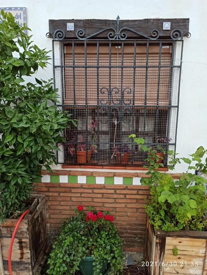 شقة La Casita De Paco Albaicin غرناطة المظهر الخارجي الصورة