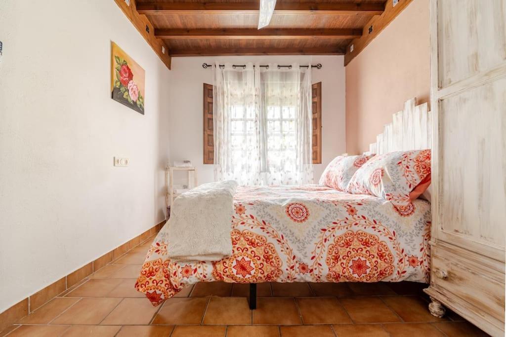 شقة La Casita De Paco Albaicin غرناطة المظهر الخارجي الصورة
